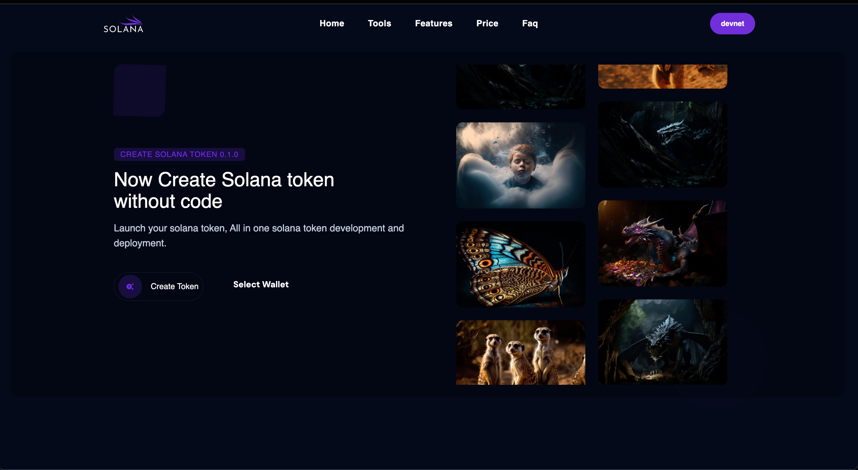 Solana Token